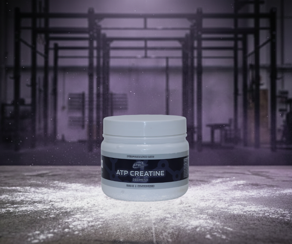 ATP CREATINE